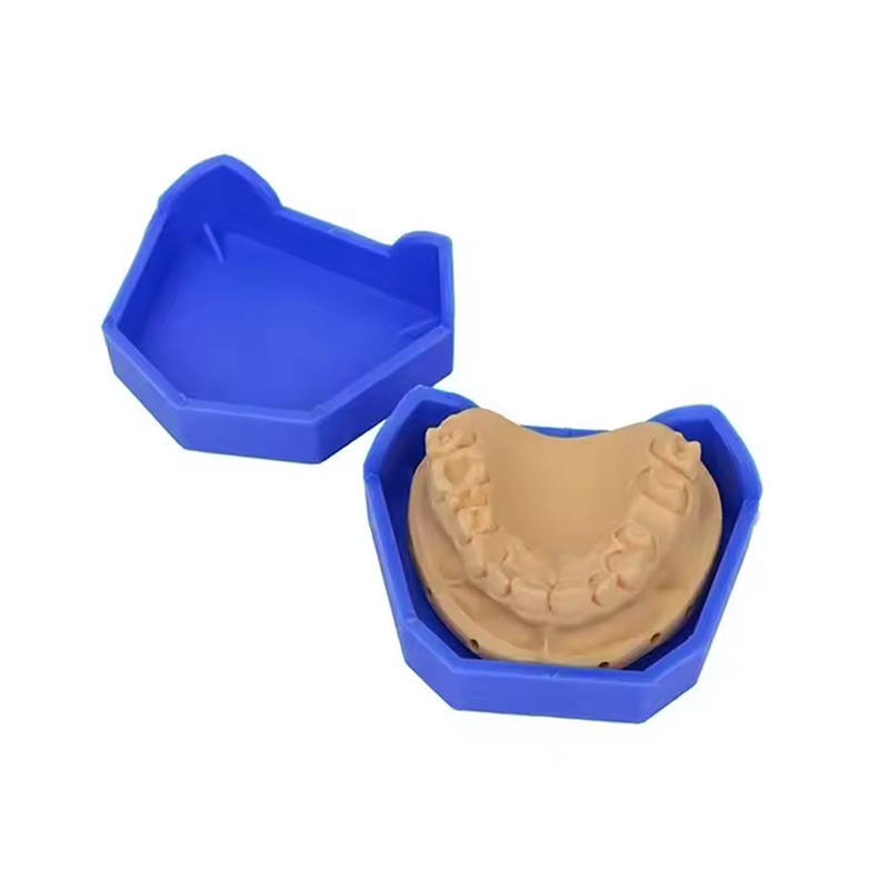2/6Pcs Dental Model Base Silic - Teeth Whitening Trays ulasan dan harga