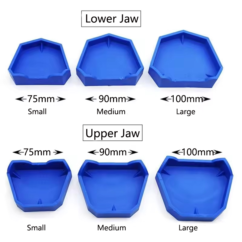 2/6Pcs Dental Model Base Silic - Teeth Whitening Trays ulasan dan harga