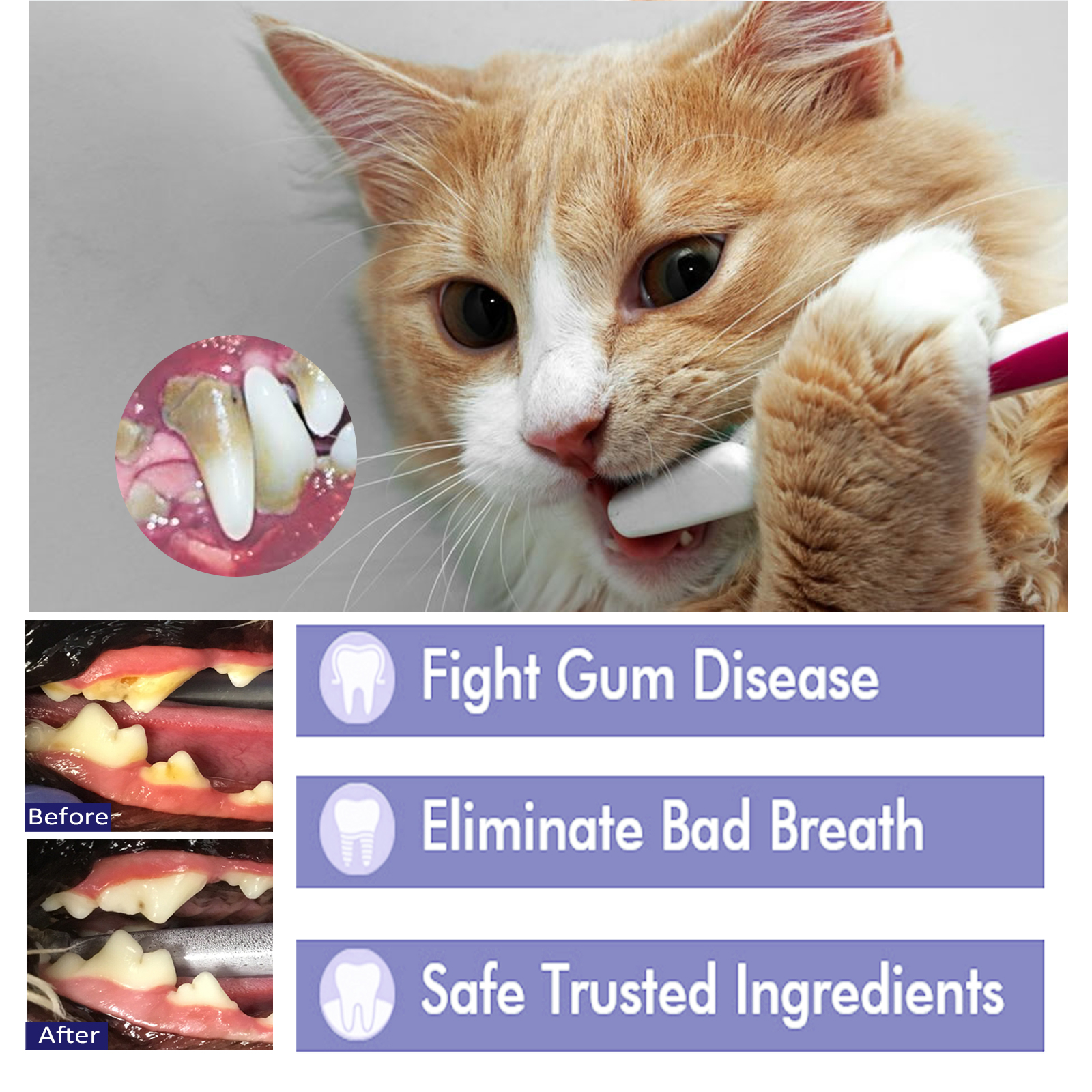 Pet Toothpaste Reduce Tartar R - Teeth Whitening Best ulasan dan harga