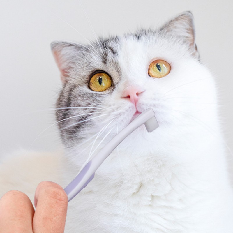 Dog Toothbrush Dog Teeth Clean - Teeth Whitening Brush ulasan dan harga