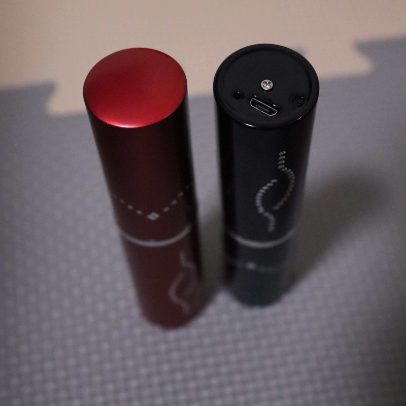 Hot Sale Portable Lipstick Pla - Led Mouth Tray ulasan dan harga