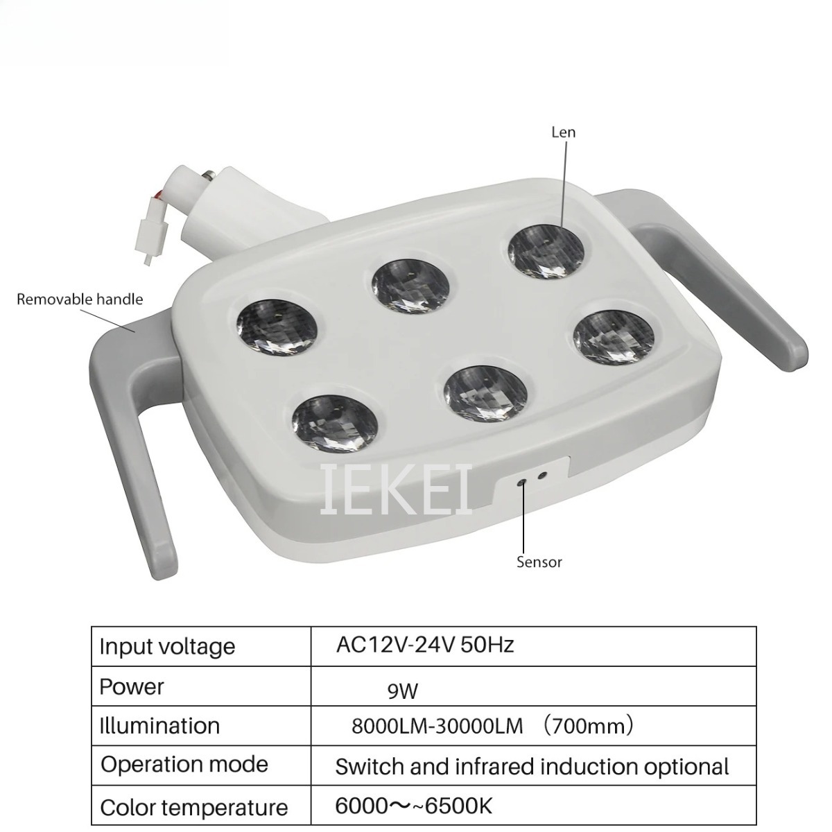 6LED Dental Oral Light Suitabl - Teeth Whitening Light ulasan dan harga