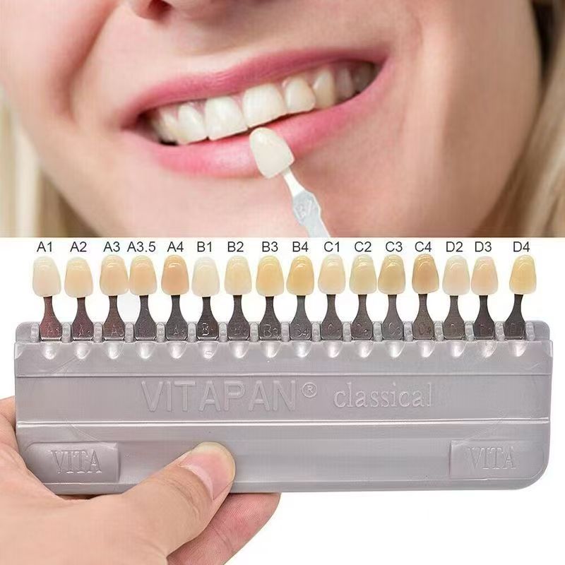 VITA 16 Colors Teeth Shade Gui - Teeth Whitening Home ulasan dan harga