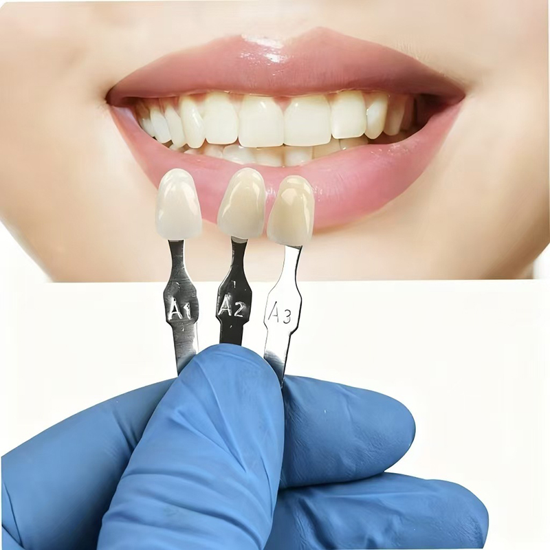 VITA 16 Colors Teeth Shade Gui - Teeth Whitening Home ulasan dan harga