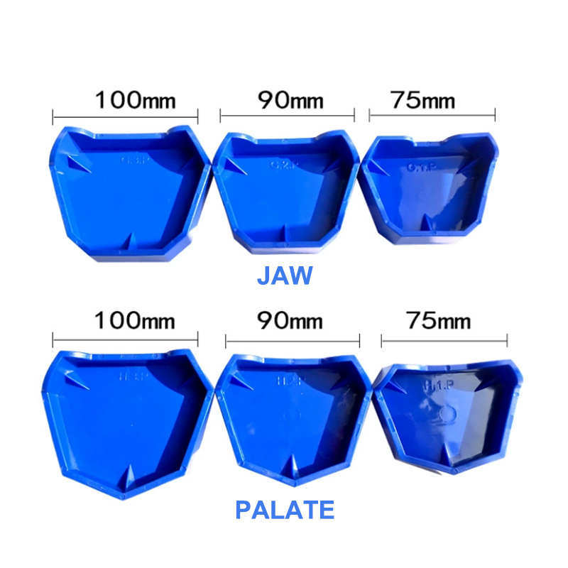 2/6Pcs Silicone  Dental Model  - Teeth Whitening Trays ulasan dan harga