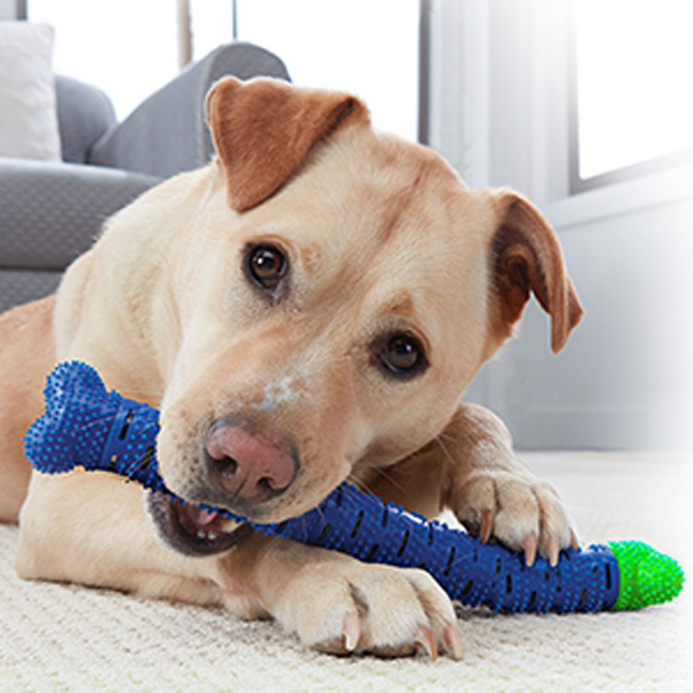Simulation Detachable Bone Dog - Teeth Whitening Brush ulasan dan harga