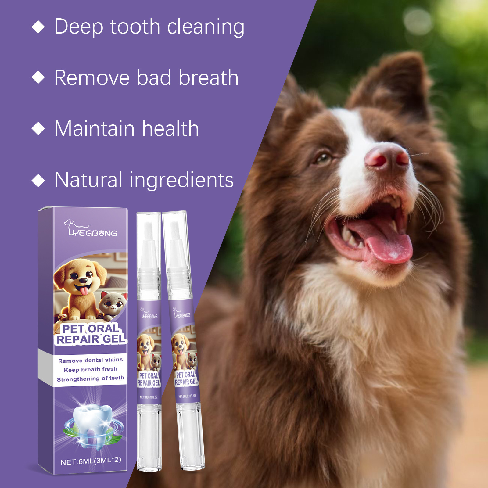 12pcs Pet Toothbrush Pen Denta - Teeth Whitening Toothbrush ulasan dan harga
